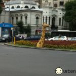 girafa girafa