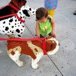 animale de casa in vacanta