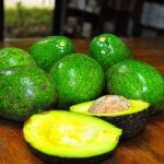 avocado