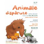 animale dispature animale dispature