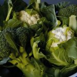 conopida si broccoli conopida si broccoli