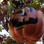 halloween halloween