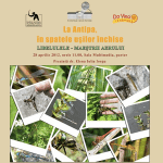 In spatele usilor inchise la Antipa In spatele usilor inchise la Antipa