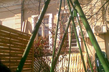 Hai la o inka la Verde Cafe!