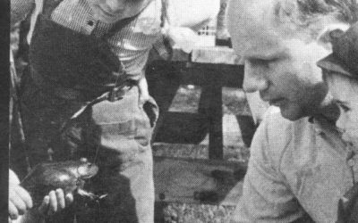 Okazii.ro dezvaluie Topul Produselor Plus de Ziua Copilului