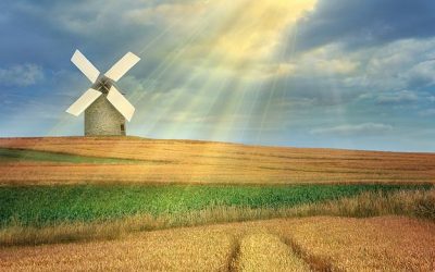 Concluziile Saptamanii Mondiale a Alaptarii 2011