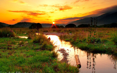 Trei piese dintr-un foc