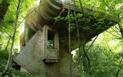 Penthouse în copaci