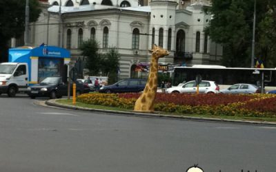 O girafă s-a blocat în metrou