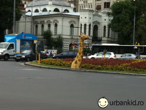 O girafă s-a blocat în metrou