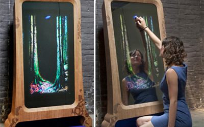 Oglindă, oglinjoară, cine'i cel mai jucăuș din țară?