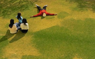 Parcurile bucureștene, luate la pas