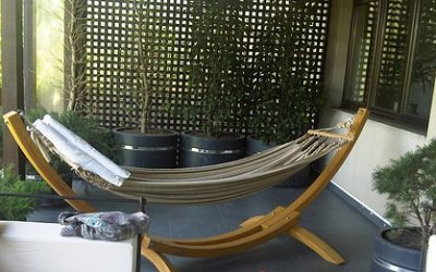 Plimbari, vizite, gratare