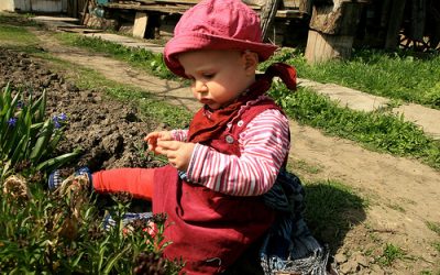 Locuinta mea de vara…e la tara