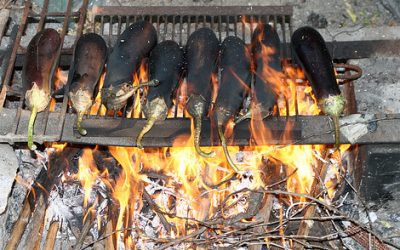 Dor de viata la tara