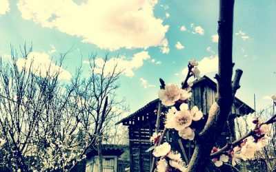 Sa mai zicem si de bine