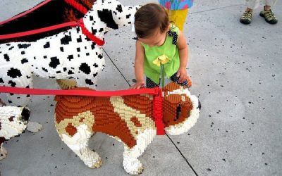 Ce facem cu animăluțele în vacanță?