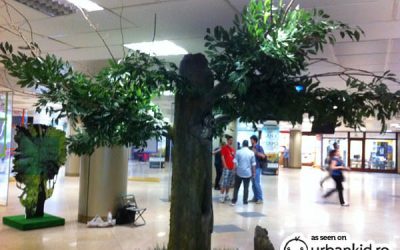 Atenție! Arbori în metrou!