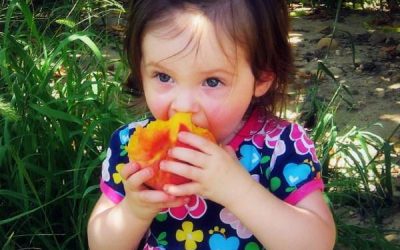 Piersicile și nectarinele – gusturi răcoritoare de vară