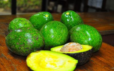 Avocado, minunea fructelor sau fructul minune?