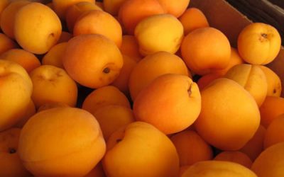 Caisa protejează ochii și menține inima sănătoasă