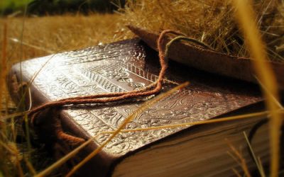 "Parinti straluciti Profesori fascinanti" – cartea care te desteapta – ep.5