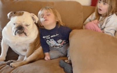 Somnul e mai dulce alături de cei mai buni prieteni!