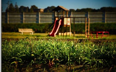 „August de vacanță” se mută în IOR