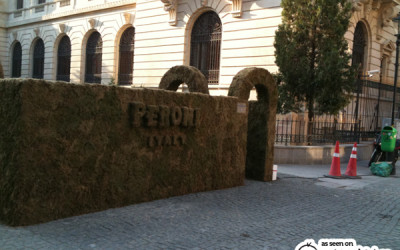 Asfaltul a făcut un pui: un labirint verde