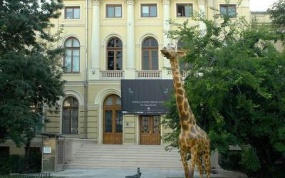 Pe urmele Muzeului Antipa