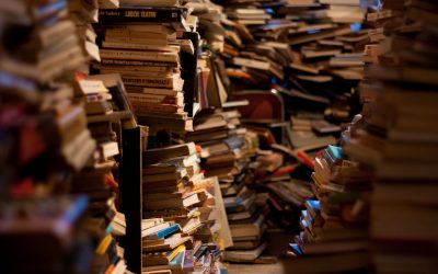 "Ingeri, zmei si joimarite" – cartea care te desteapta – ep.6