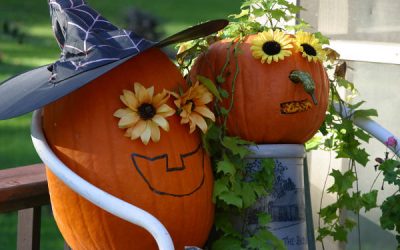 Dovleacul – fruct sau legumă?