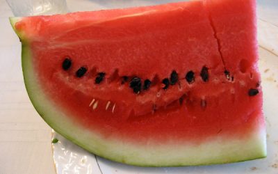 Pepenele roșu – bucuria verilor toride