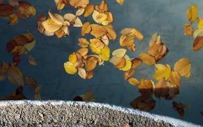 Să nu le uităm pe ale noastre: Mărțișorul și Dragobetele