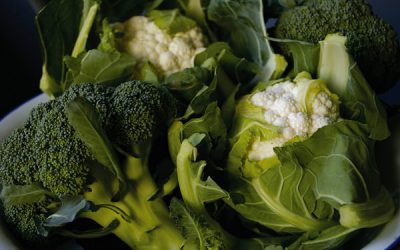 Conopida – soră bună cu broccoli; prieten sau duşman pentru bebeluşi?