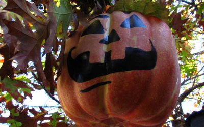 Distracție în casă de Halloween