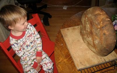 Pâinea noastră cea de toate zilele… este cât toate zilele!