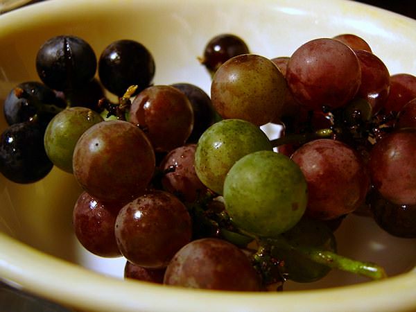Strugurii – un cuvânt pentru vitamine, minerale, aminoacizi și antioxidanți