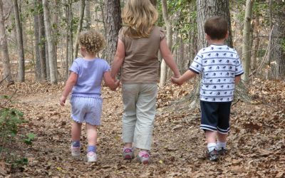 Loc: Muzeul Național de Geologie