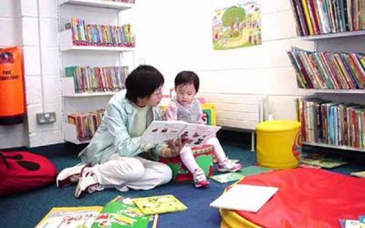 Cum încape un an întreg într-o cutie