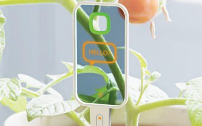 Dacă plantele ar vorbi