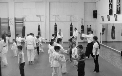 Un altfel de sport: aikido