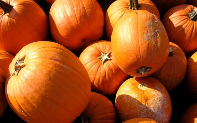 Cremă de dovlecei cu ardei copţi (de la 6 luni)