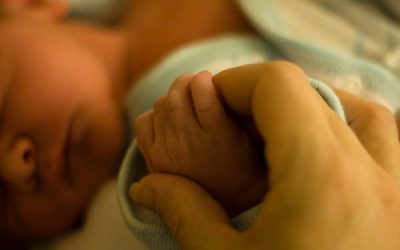 A venit pe lume în mașină