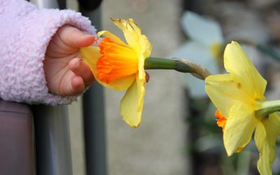 Mărțișoare primim cu drag