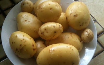 Cartofi dulci pai (de la 1 an)