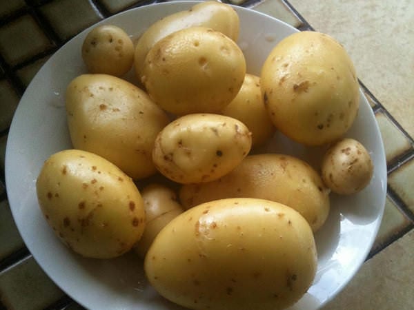 Cartofi dulci pai (de la 1 an)