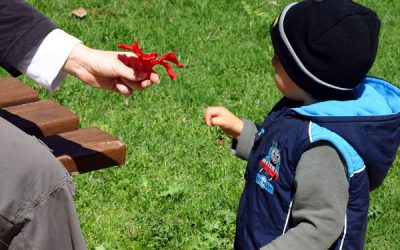 Și părinții merg la școală