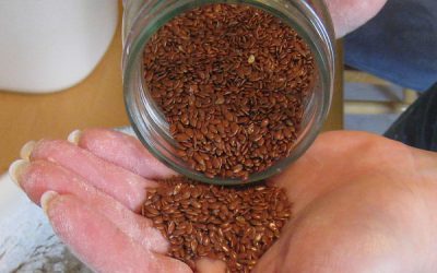Semințe de in, o sursă importantă de acizi grași Omega 3