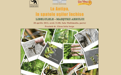 Libelulele invadează Muzeul Antipa